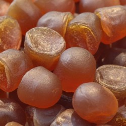 Gommes BIO à la propolis-miel et eucalyptus